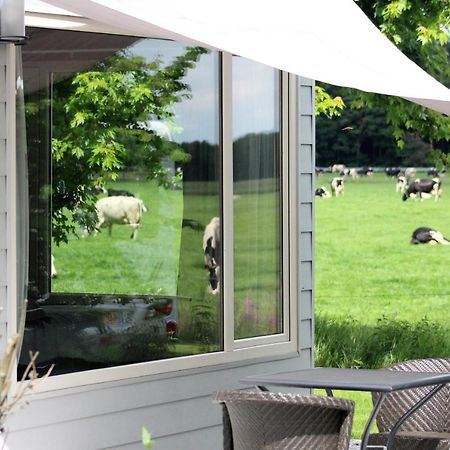 Panorama Box Op Camping De Stal Drijber Exterior foto